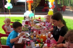 Солнечный пикник на детском дне рождения - кейтринг компания «Yaris Catering» 05